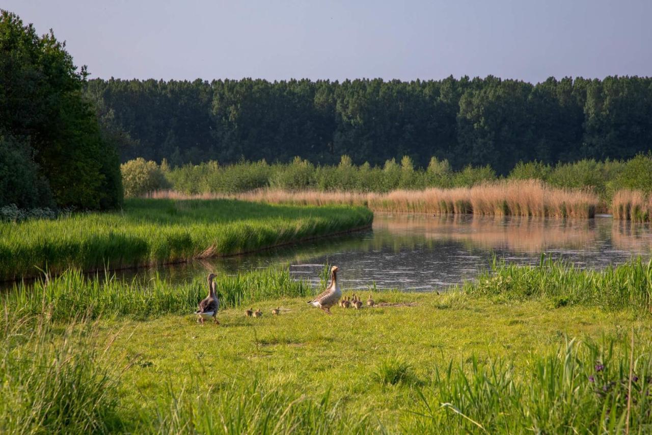 דירות Ooltgensplaat Waterland מראה חיצוני תמונה